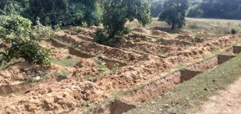 Agriculture News