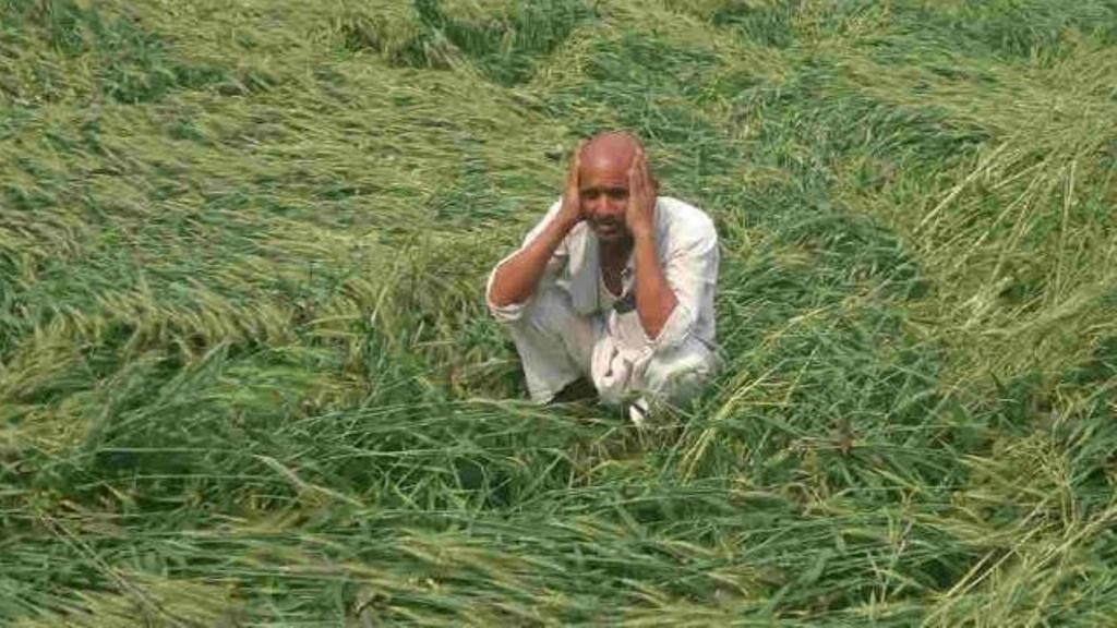 Kisan