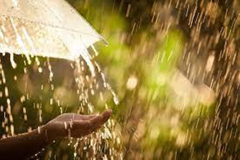 Rainy Season