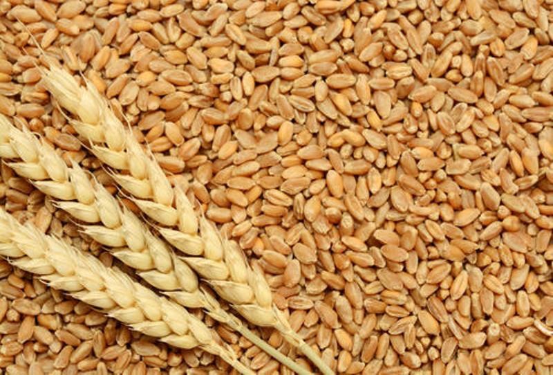 Agriculture News