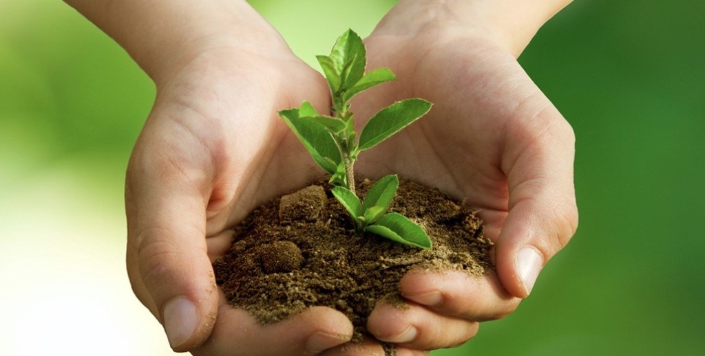 Soil