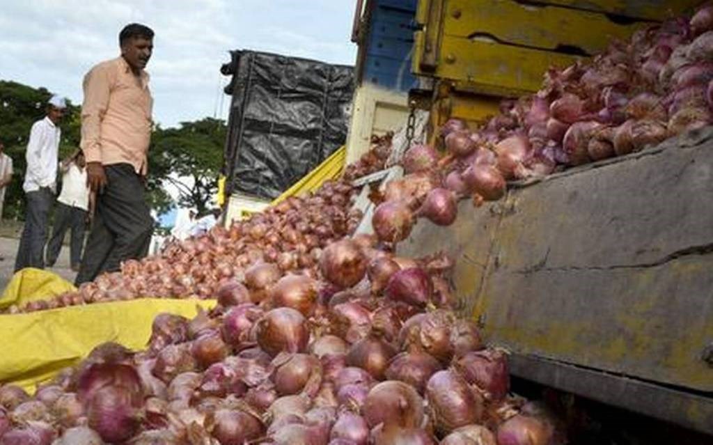 Onion