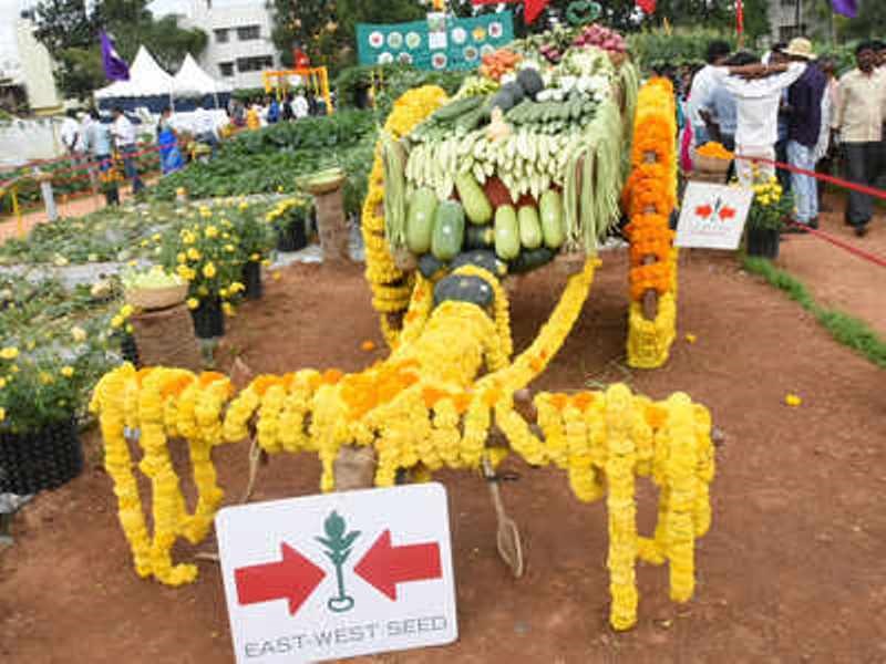 Krishi Mela