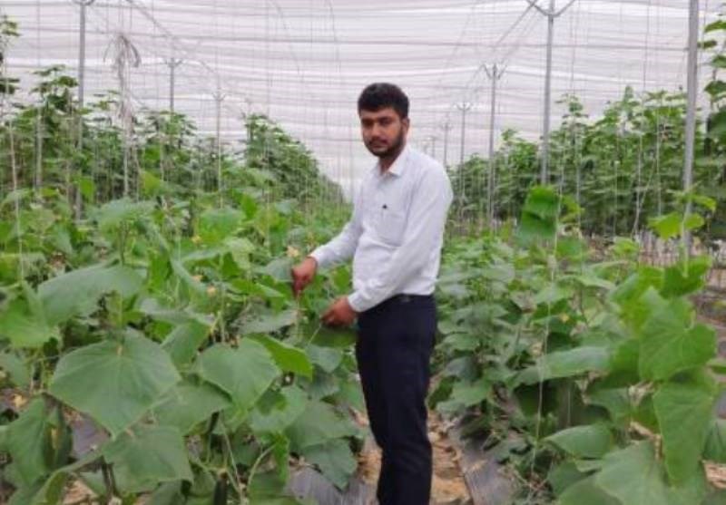 Ankush Tarkha