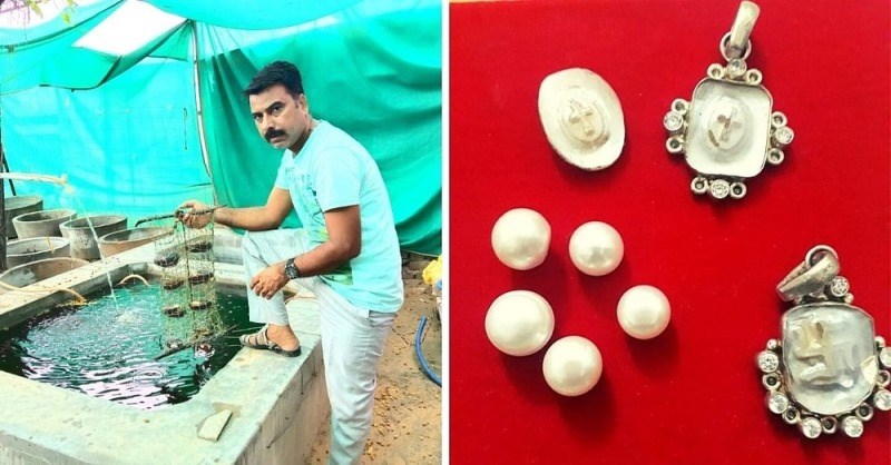 Successful Farmer