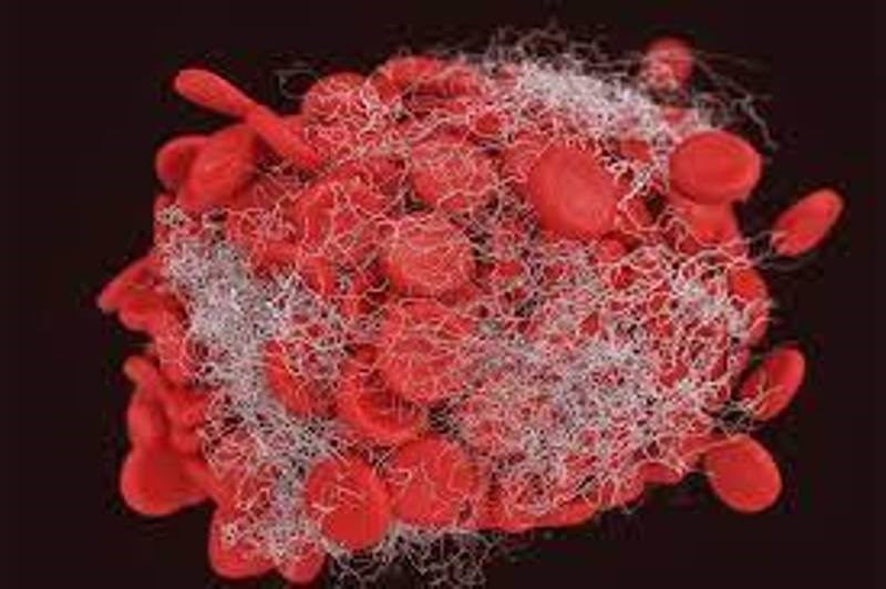 Blood Clotting