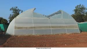polyhouse