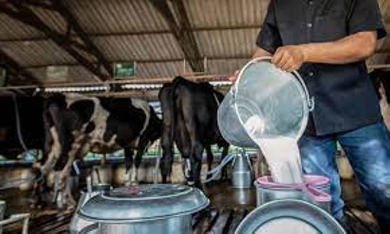 Agriculture News