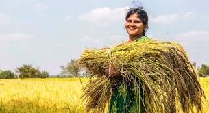 Kisan