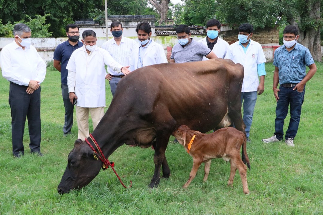 Animal University Bihar