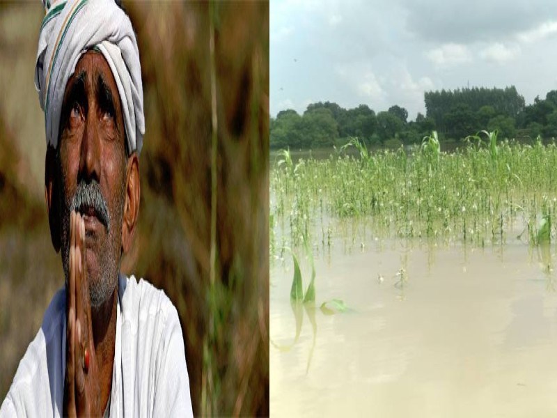 Farmer Crops