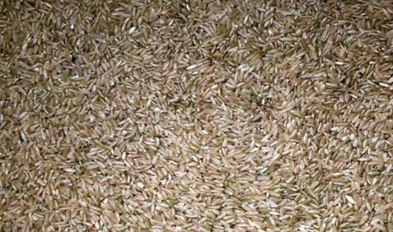 Black Rice