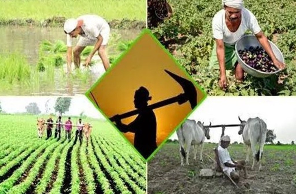 Agriculture