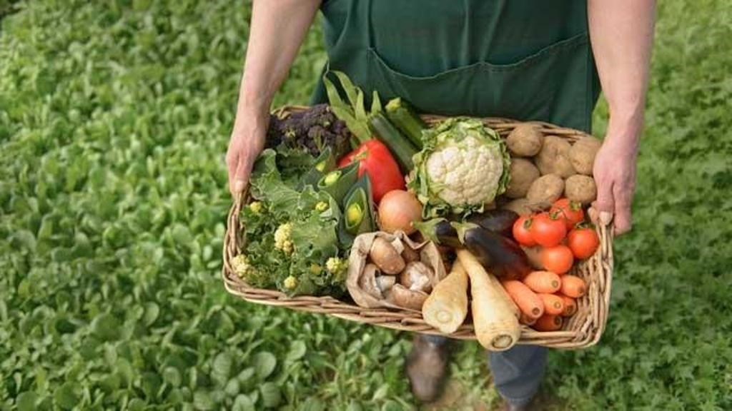 Organic Farming