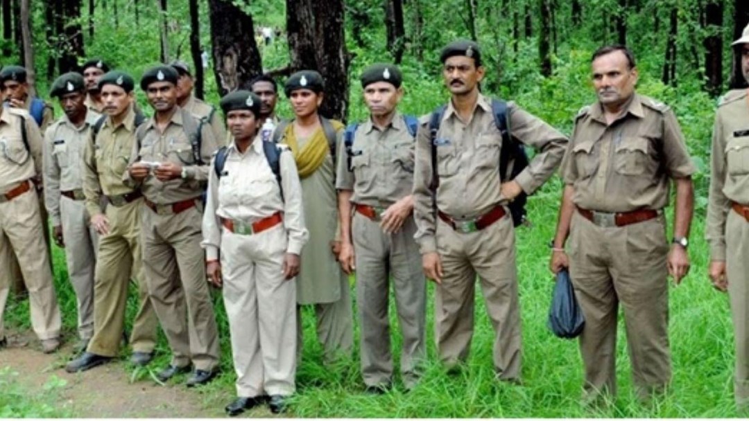 Forest Officer
