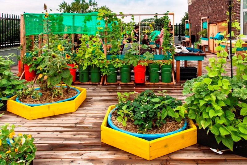 Rooftop Gardening