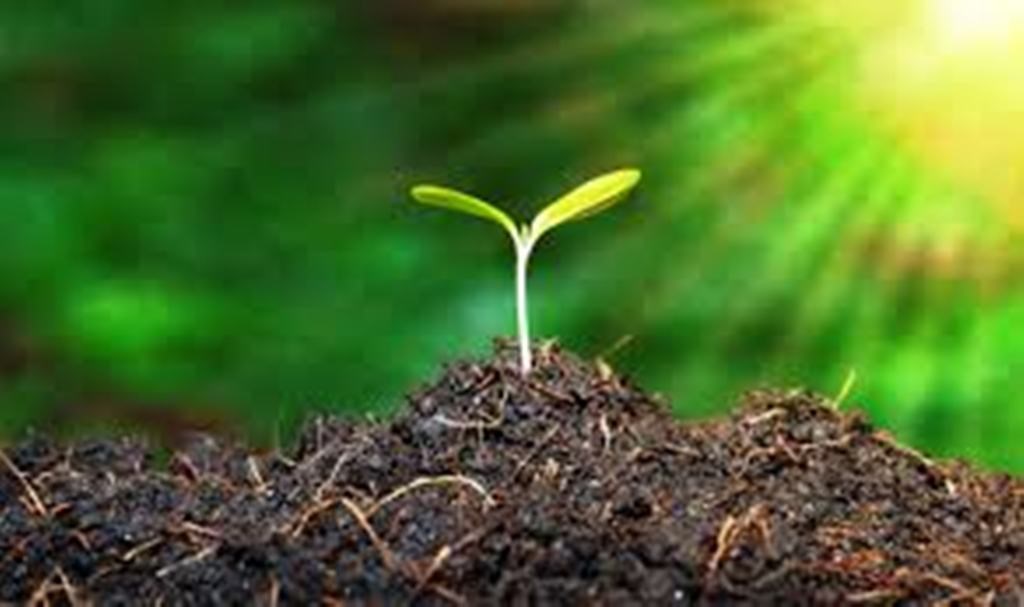 Organic Farming