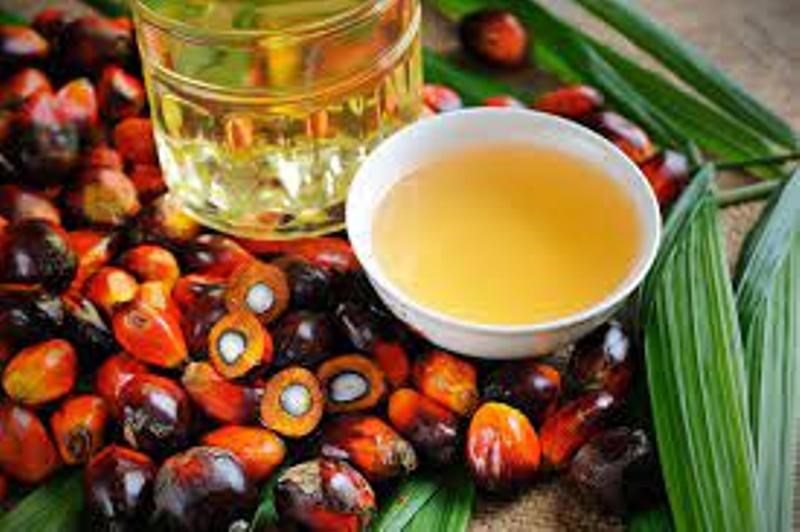 Palm Oil Mission