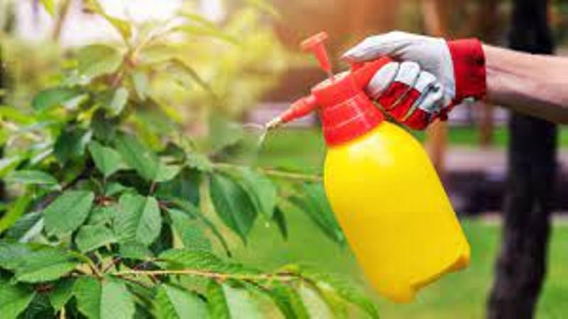 Lemon Grass Spray