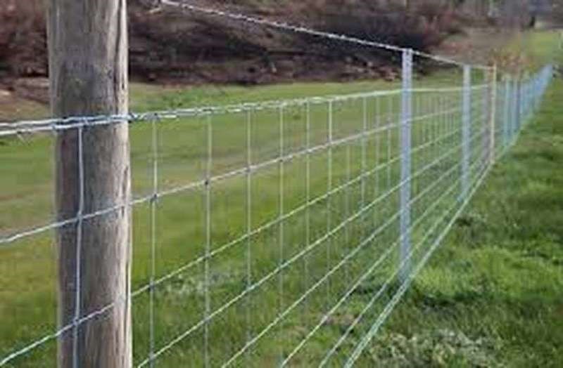Wire Fencing Subsidy
