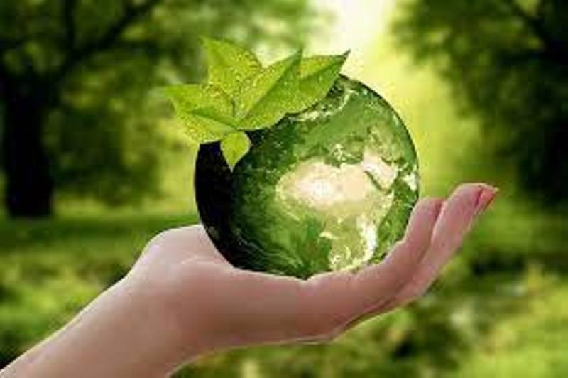 Agriculture News