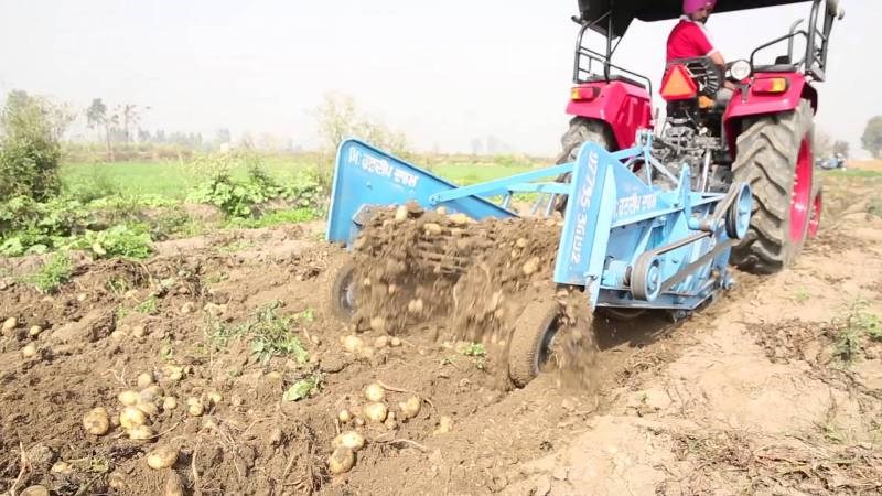 Potato Digger
