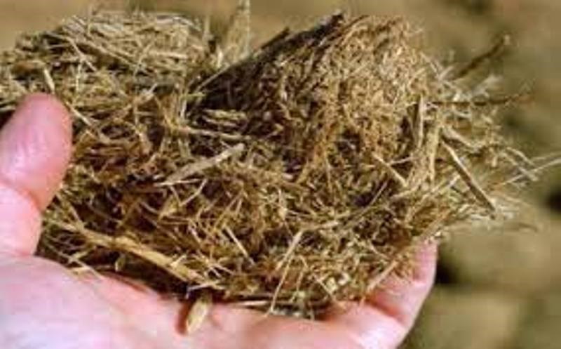 Agriculture News