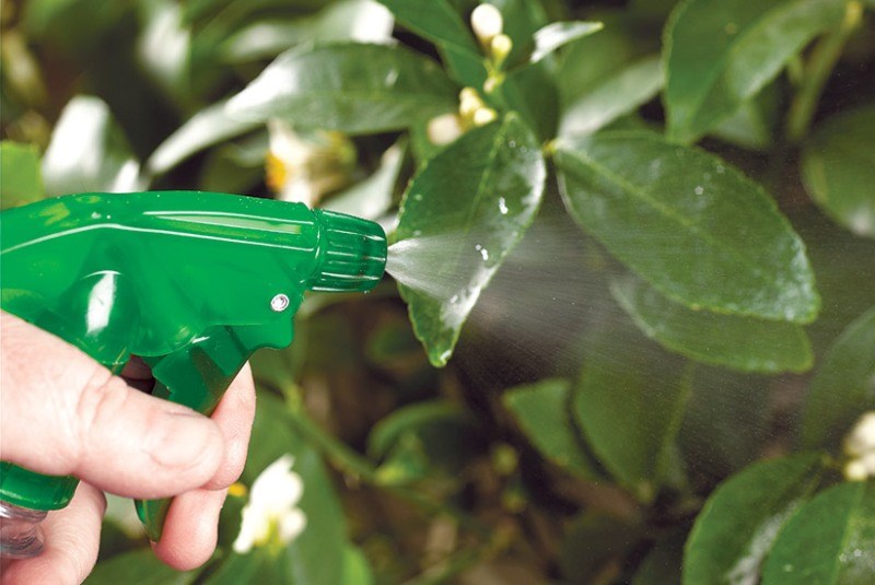 Gardening
