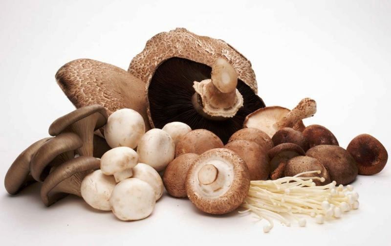 Mushroom Coffee