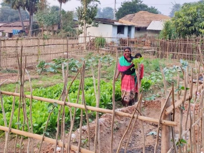 Didi Badi Scheme