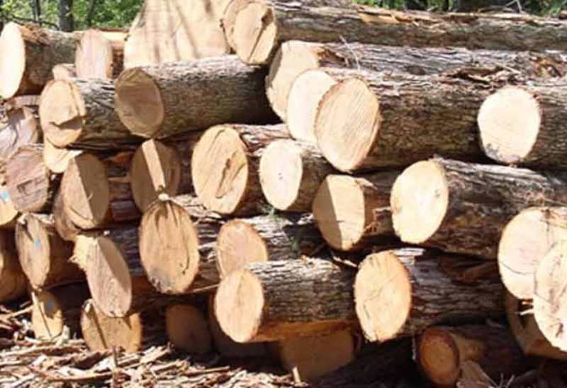 Wood