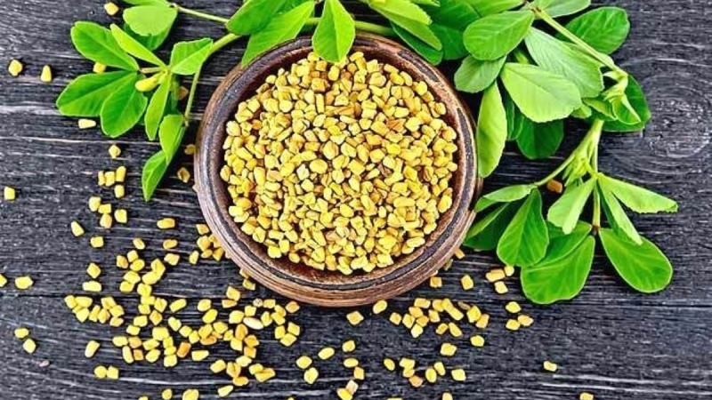 Dana Methi Benefits