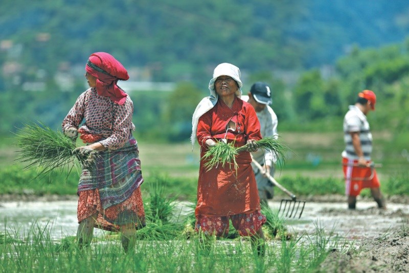 Agriculture News