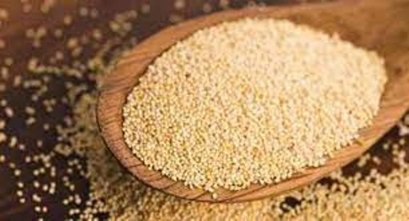 Poppy Seeds Benefits