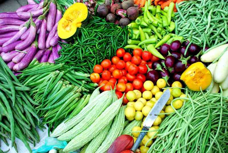 Vegetable Cultivation