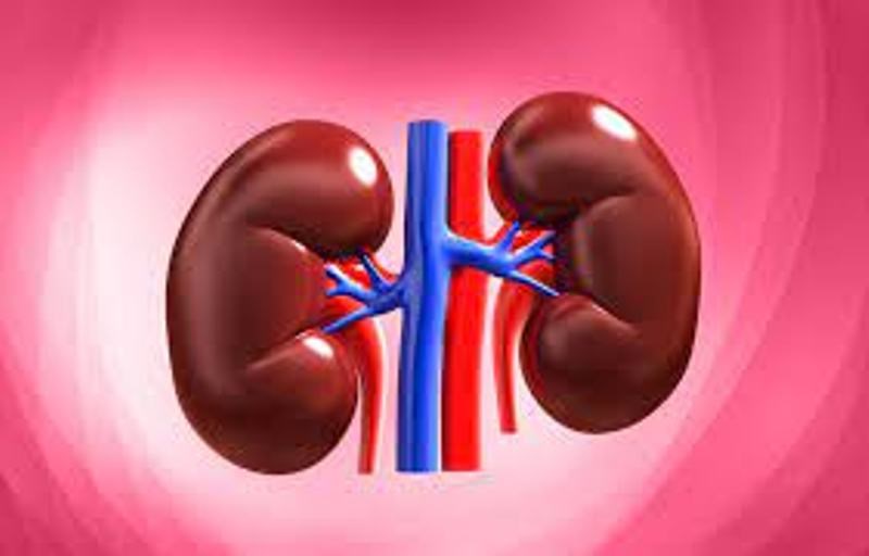 Kidney Problems