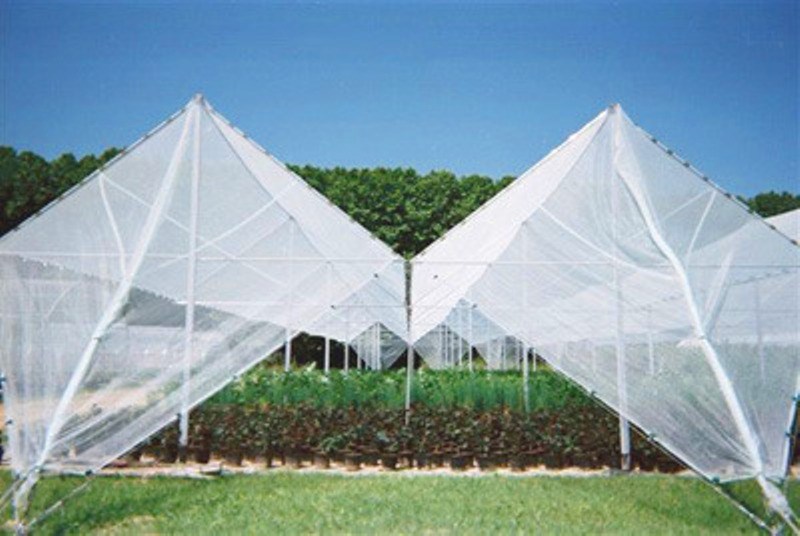 Anti Hail Net Subsidy