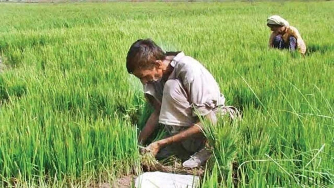 PMFY योजना