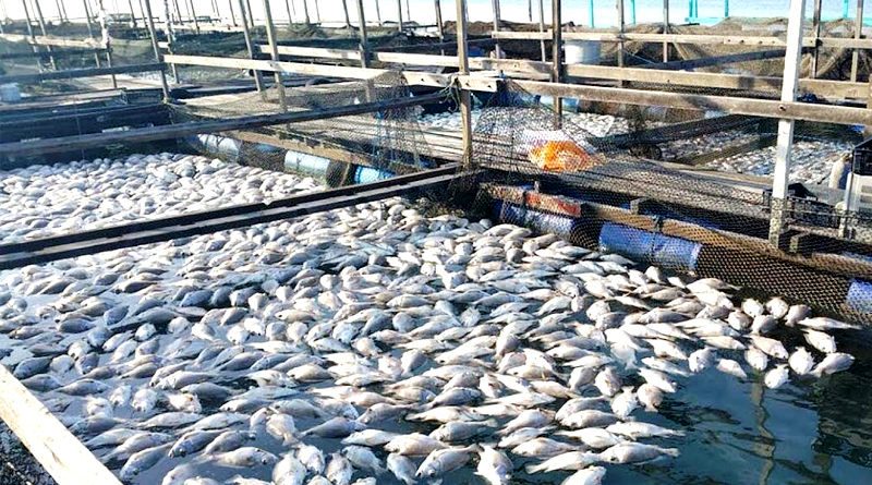 Fisheries