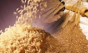 Wheat Variety