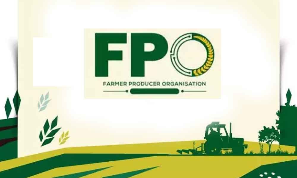FPO