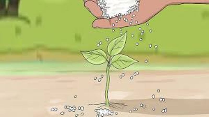 Urea