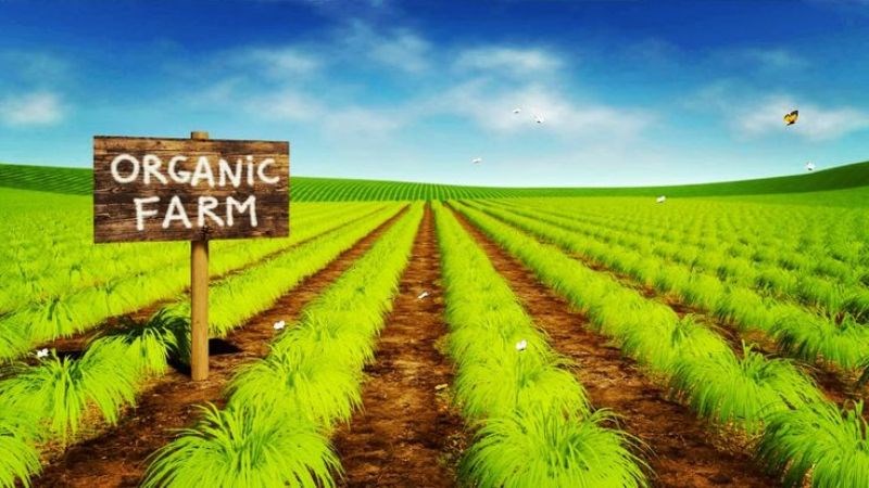 Organic Farming