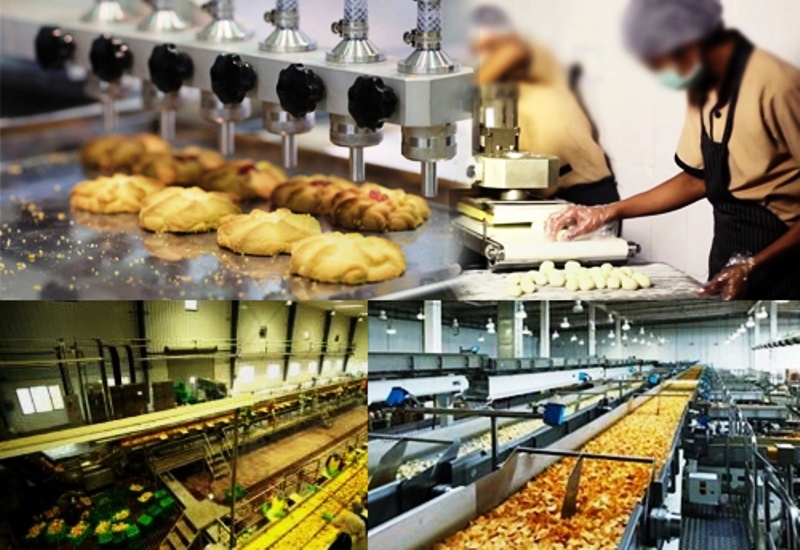 Micro Food Processing Units of India