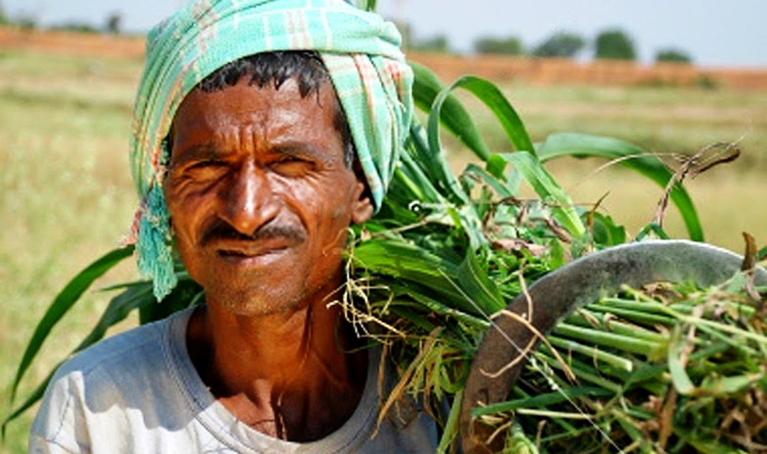 farmer