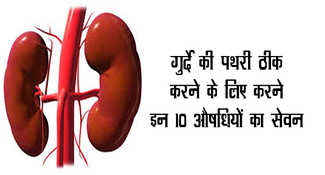 Kidey stone removal by Ayurvedic medicines