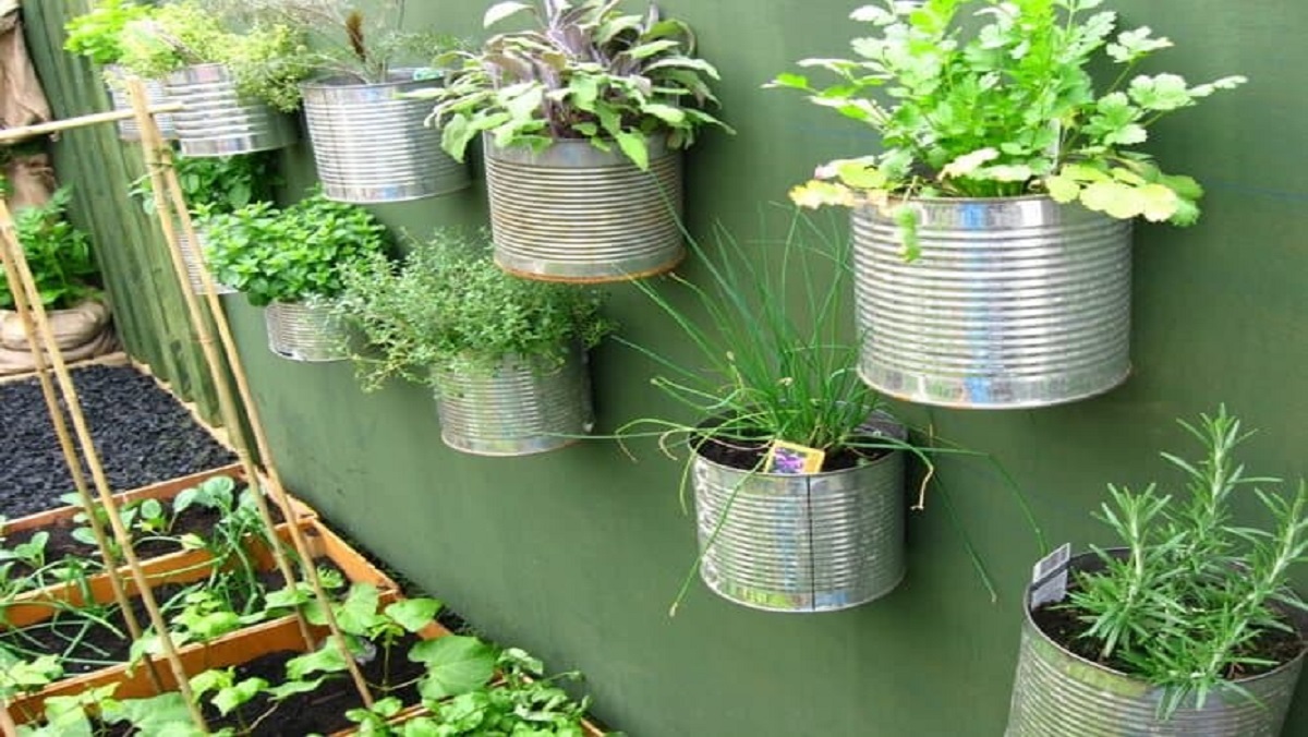 garden