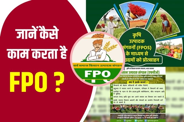 fpo-yojana-15