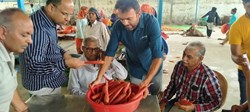 New Hybrid Variety of Carrot Launched by Somani Seeds