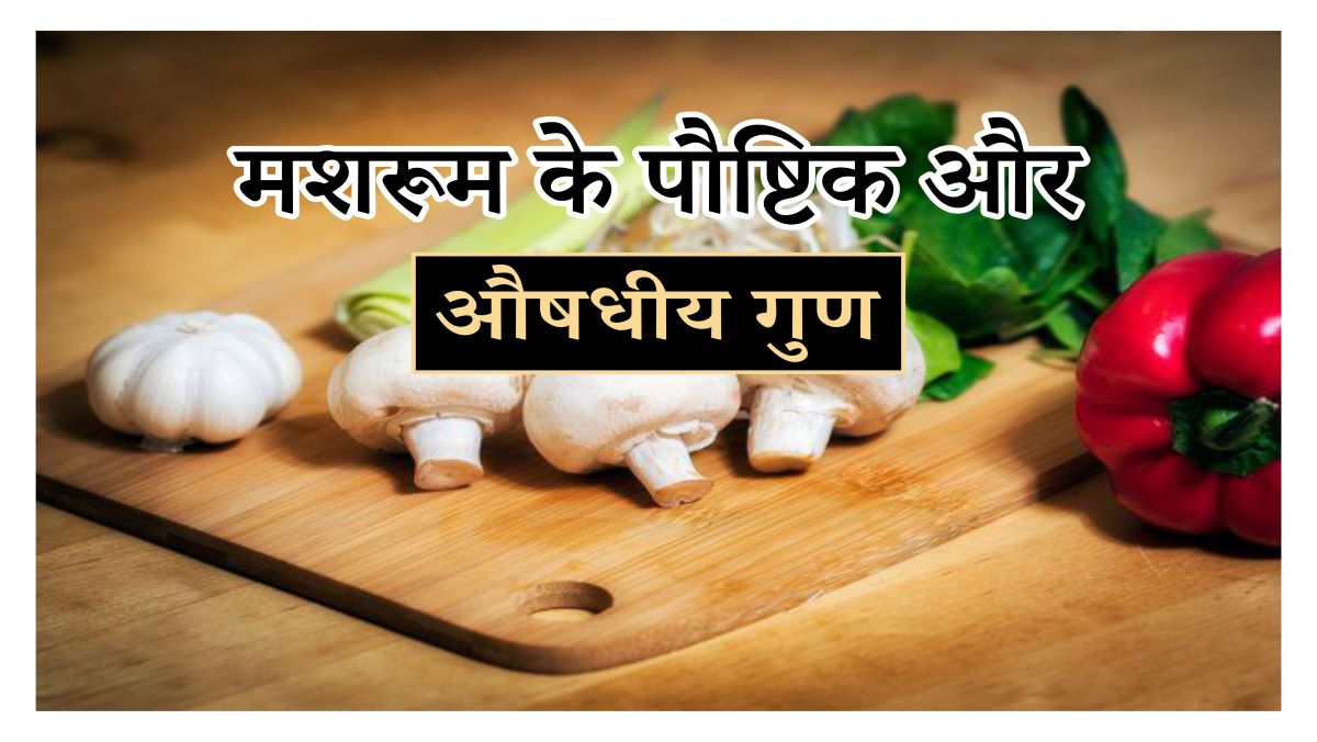 Mushroom Benefits: मशरूम के पौष्टिक और औषधीय गुण हैं कमाल, कई बीमारियों ...